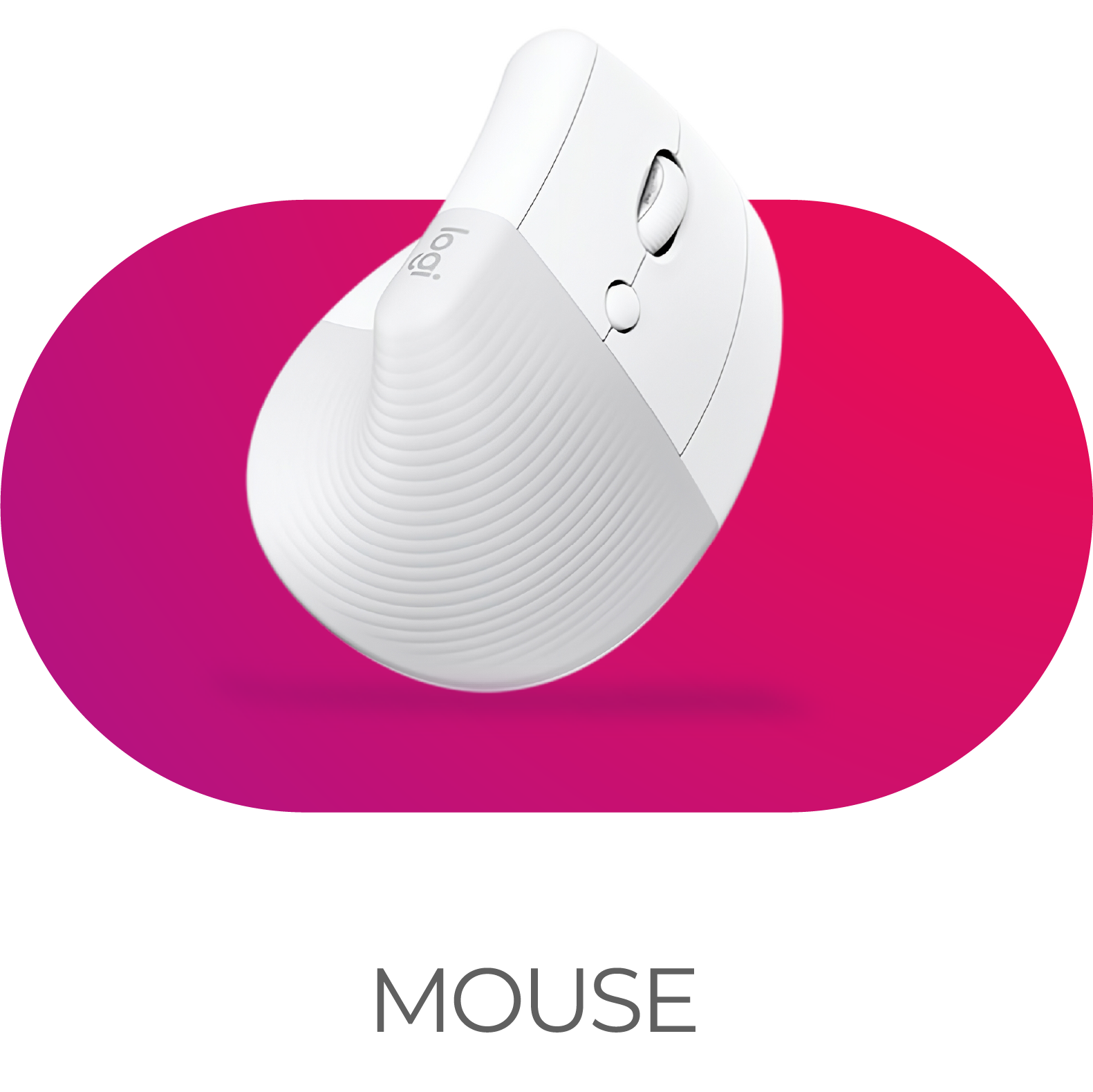 mouse
